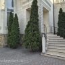 Дом престарелых «Исток» ул. Читательская фото 8